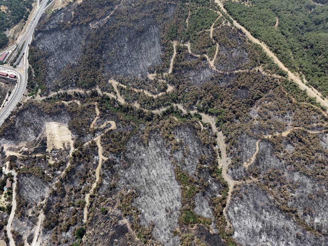 Kahreden manzara! Bornova'da yanan ormanlar dronla görüntülendi 28